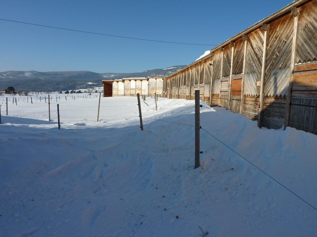 Gite Equisud - Demi-Pension Inclus Les Angles  Bagian luar foto